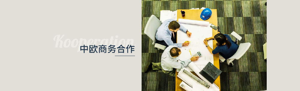 中欧商务合作