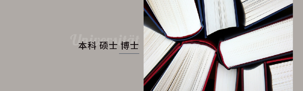 大学：本科、硕士、博士
