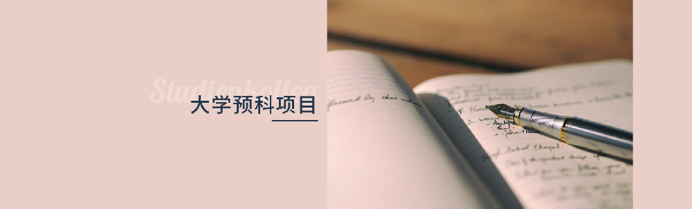 大学预科项目