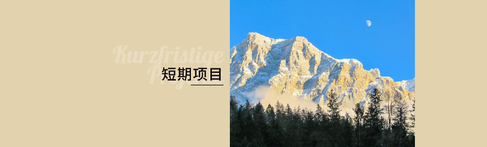 短期项目